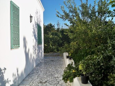 Villa Issam - Hammamet - L 175
