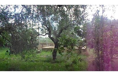 Land for sale on the road to hammamet