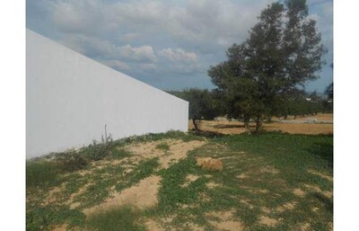 AV lots de terrain 5000m au hammamet sud