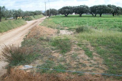 Terrain chok VT : 317