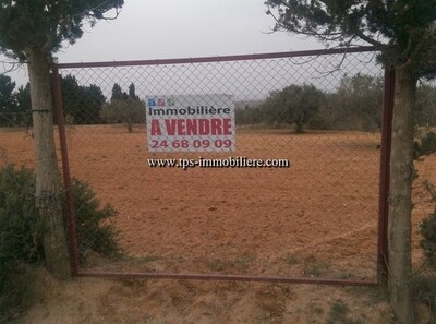 Terrain CHOKRIA  Bir Choba REF