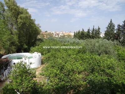 Villa Lara Hammamet sidi hammed