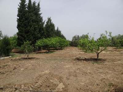 Ferme Ward Hammamet borj Hfaiedh