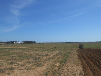 terrain plat a la compagne de hammamet