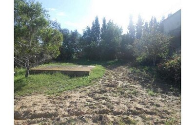 10000m avec maison av