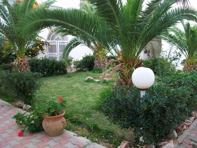 appartement khalifa 1 - V057