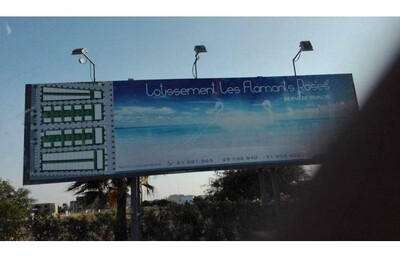 Terrain à Cité Les Flamants Rose Raoued