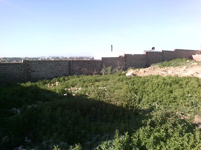 Terrain Sidi Hammed A Vendre