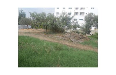 field in hamamet near telecom bone Center