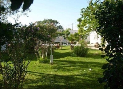 Villa Eucalyptus A de Style Arabe