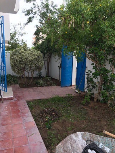 Appartement S+2 au RDC avec jardin