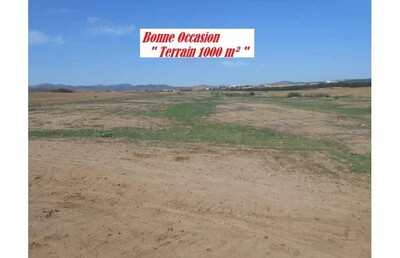 Bonne Affaire a Duikhla un Terrain AV AM