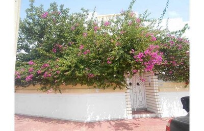 Villa spring WW
