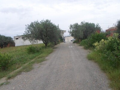 ferme avec deux maison a hamammet SS