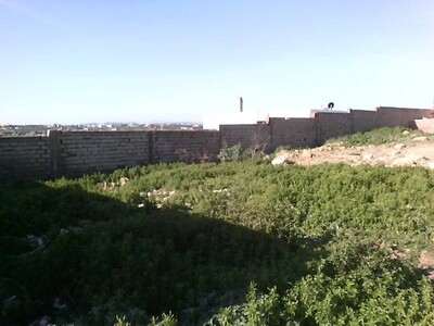 A Vendre un Terrain Hammamet Sud AM