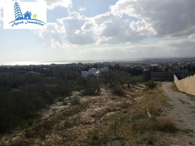 Terrain Ben Ayed Hammamet
