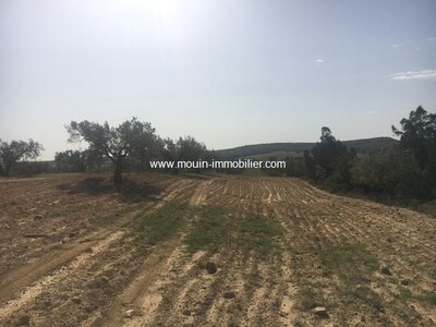 Terrain Nouran av à Hammamet Birbouregba Latrech