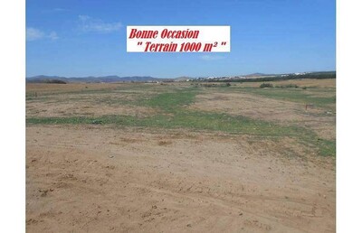 Terrain a vendre 25 MD AM