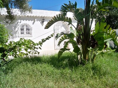 Villa Fawara - Hammamet Nord - V089