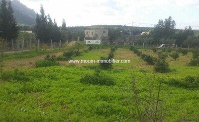 Ferme La Colombe à Morneg