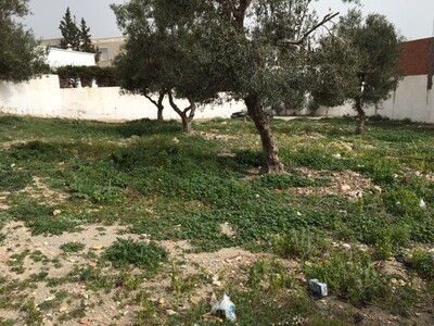 TERRAIN HAMMAMET NORD AGENCE MRAD