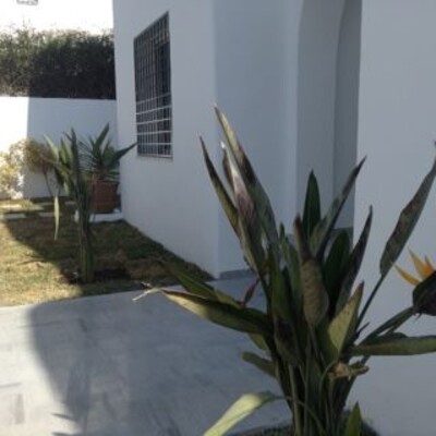 DAR FLORA 2 AGENCE MRAD