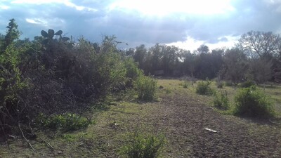 superbe terrain sur la route principale Yasmine Hammamet