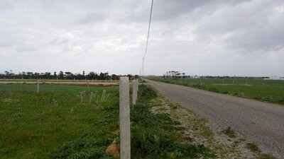 Kelibia Dherwa field