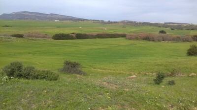 Terrain agricole à vendre à El Monchar route sidi jdidi