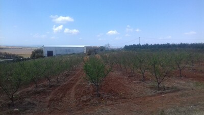 superbe ferme à vendre à Morneg