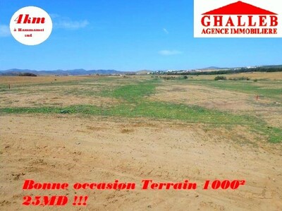 land sell close to hammamet opportunity do not miss az