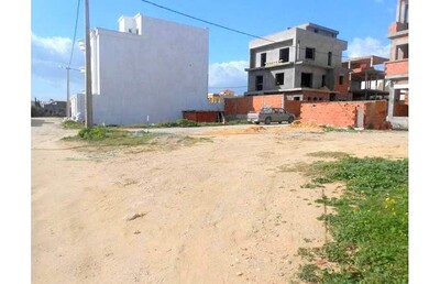 field 288 m a mrezga az