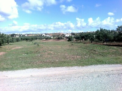 terrain 1520m a monchar az