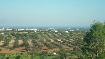 Terrain a vendre à sidi said avec vue de mer