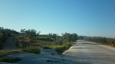 Terrain a sidi said sur la route goudronnée
