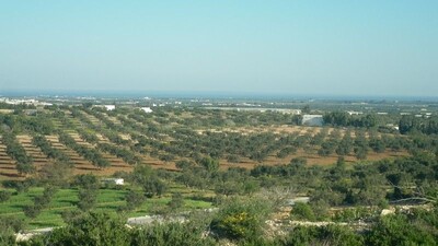 Terrain agricole de 16461 avec vue mer à sidi said