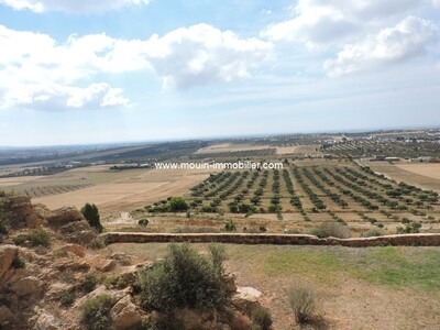 Villa El Menchar beautiful remains to Hammamet South al