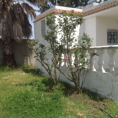 Ferme 16000m contient une villa
