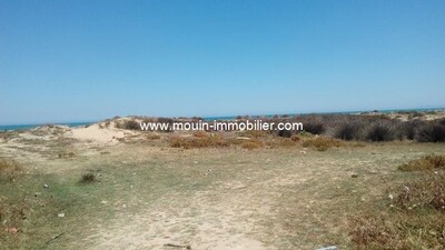 Terrain West à Raoued