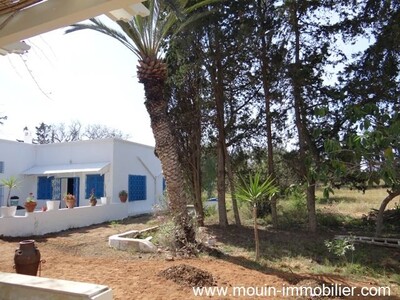 Villa Thym Yasmine Hammamet