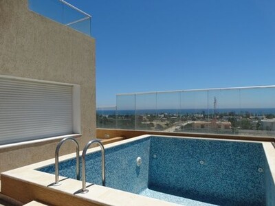 THE GREAT PENTHOUSE AFH MREZKA