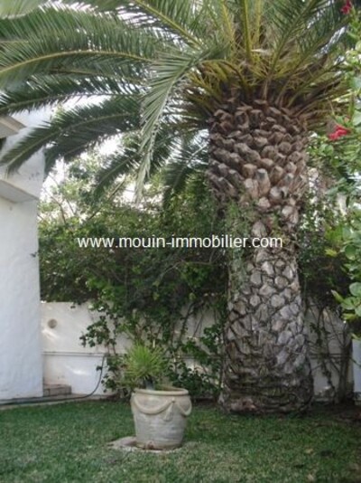 villa verde A jinan hammamet