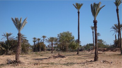 A VENDRE TERRAIN A TITRE BLEU