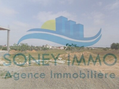 Lot of land road el ain