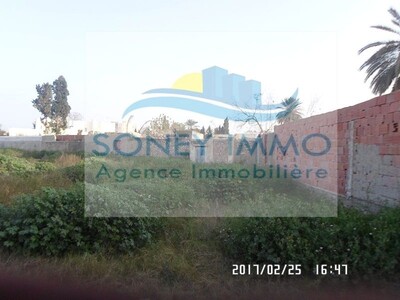 JOLI LOT DE TERRAIN ROUTE MENZEL CHAKER