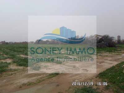 Lot de terrain à kassass el hajeb