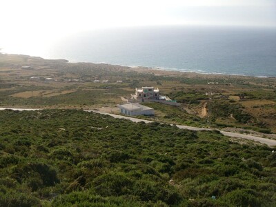 field metline Tunisia