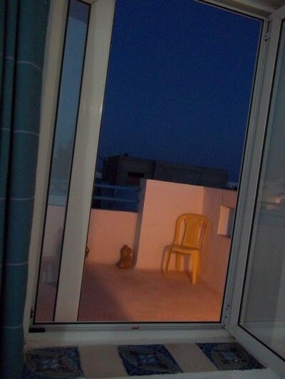 appartement du centre A centre ville hammamet
