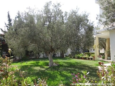 villa eline A cité kharrouba hammamet