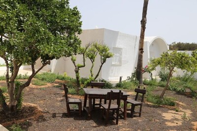 Maison LES PINS Hammamet réference